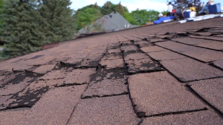 Best Roof Leak Repair  in Washington, IL